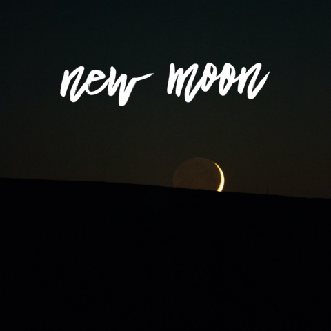 The New Moon